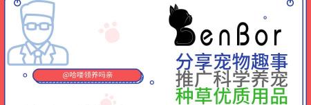 dr检查多少钱（DR和B超影像有啥区别）