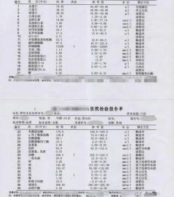 大生化检查多少钱（500多块的全套生化）