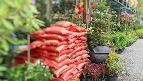 硫酸鉀價格多少錢一噸（復(fù)合肥漲100元）