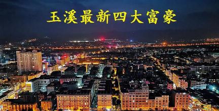 玉溪煙多少錢（云南玉溪四大富豪）