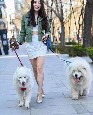 狂犬疫苗血清多少錢（如果被狗咬傷那該如何維權(quán)）