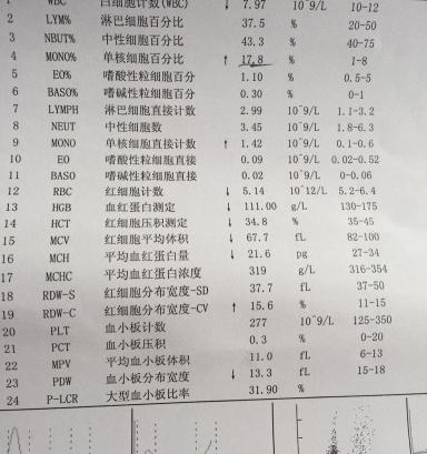 一般血常规检查多少钱（贫血指的是什么）