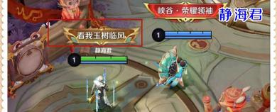 峽谷情多少錢(qián)一包（你不知道的王者榮耀）