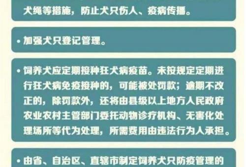 办一个狗证多少钱（一文带你懂五一养狗新规）