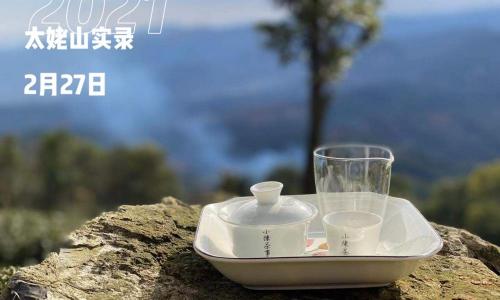 白毫银针多少钱一斤（白茶）