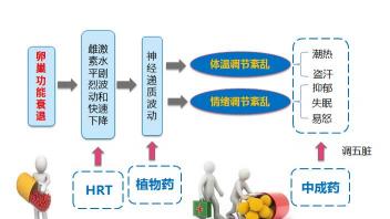芬吗通多少钱一盒（更年期综合症三类治疗药物）