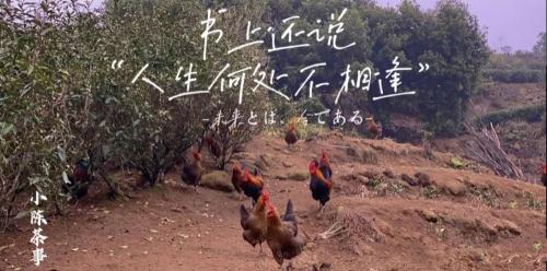 肯德基小時工一小時多少錢（茶農）
