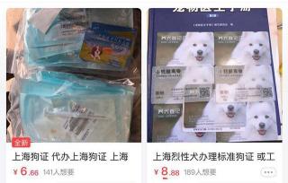 办一个狗证多少钱（申晨间）