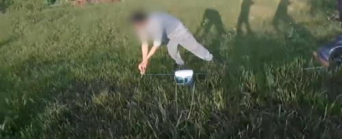 地龍多少錢一斤（為何電蚯蚓的人如此猖獗）