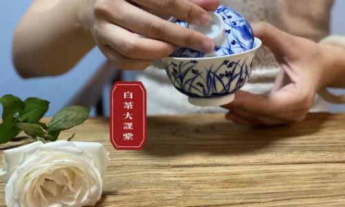 白毫银针多少钱一斤（100元一斤的白毫银针）