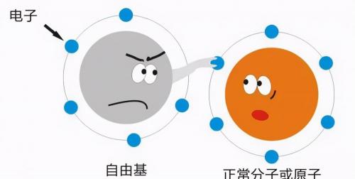 艾地苯醌片多少钱一盒（药学博士）