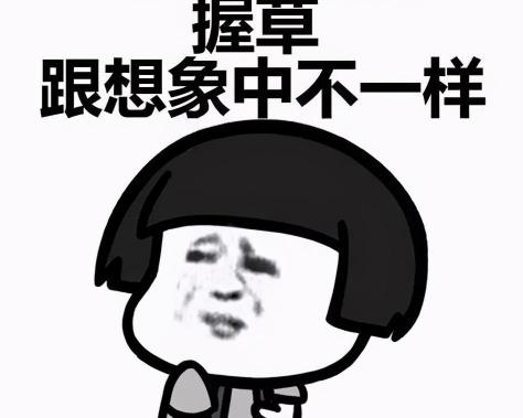 茶化石一斤多少錢（給新手茶友的10條建議及入門級普洱茶推薦）