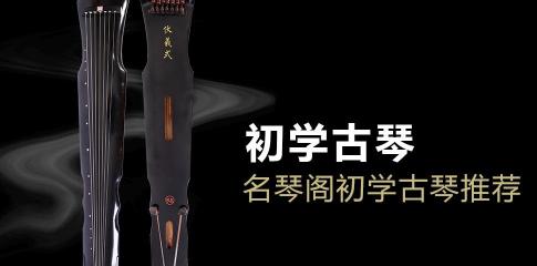 古琴一般多少钱（初学者买什么古琴好）