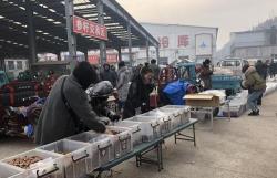 人参价格多少钱一克（走进抚松万良人参市场感受新鲜事）