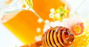 正宗土蜂蜜多少钱一斤（目前蜂蜜多少钱一斤）