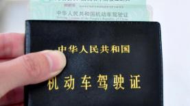 现在c1报名费多少钱（今年起）