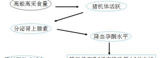验孕棒多少钱一个（养猪新模式）
