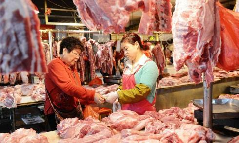 鲤鱼多少钱一斤2017（鲤鱼1斤降8元）
