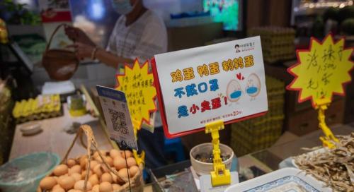土鸡蛋多少钱一斤（现在鸡蛋多少钱一斤）