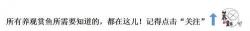 银龙鱼价格多少钱一条（东南亚热带观赏鱼系列3）
