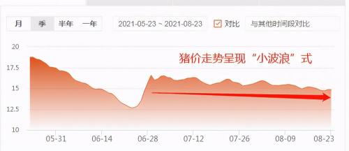 现在猪苗多少钱（8月23日15公斤仔猪价格）
