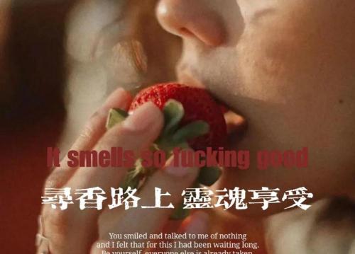 红花油多少钱一瓶（被问了10000遍的高冷香水）
