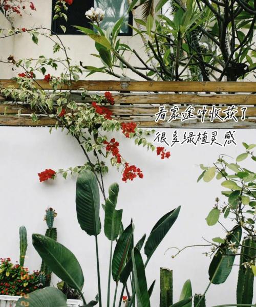 银项链多少钱一条（贝壳分享）