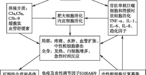扶他林多少钱一盒（关节疼痛要消炎）