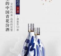 二十年汾酒53度多少钱（口碑最好的名酒）