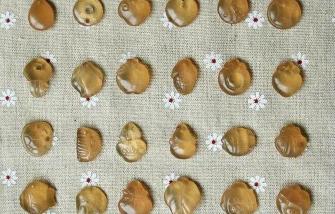 25克的青鱼石值多少钱（农村的）