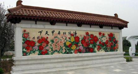 牡丹多少钱（洛阳看牡丹价格大全）