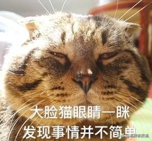 宝矿力水特多少钱一瓶（为什么我们不建议你再喝宝矿力）