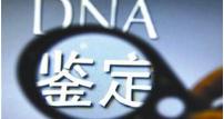 做父子亲子鉴定多少钱（律师答疑第28期）