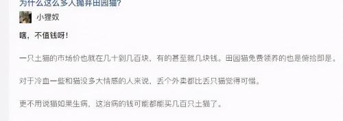 好猫吉祥升级版多少钱一包（中华田园猫雅名大全）