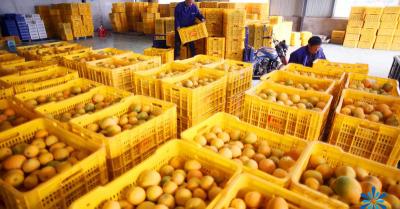 冷库设备报价（100平方米农业果蔬冷库多少钱）