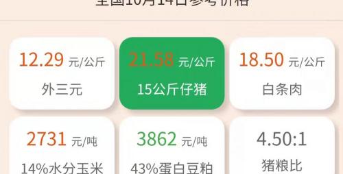 仔猪价格今日猪价（10月14日10公斤仔猪价格）