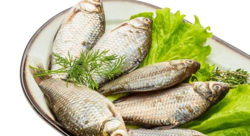 淡水石斑魚多少錢一斤（魚價連漲20周）