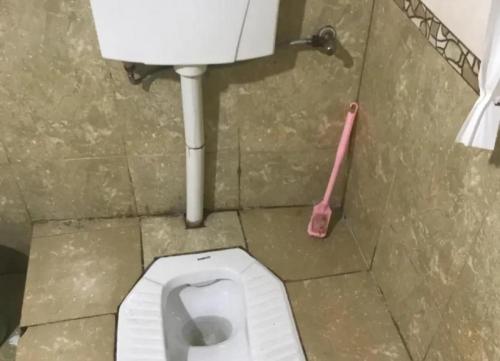 蹲坑改马桶一般多少钱（为什么卫生间非要装蹲便器呢）