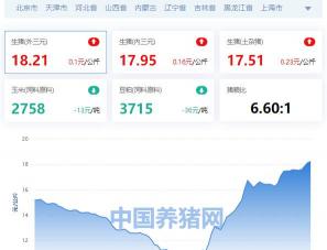 北京猪肉价格今日猪价（全国生猪价格涨跌表）