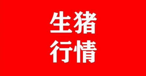 前四后八新车报价（猪价行情）