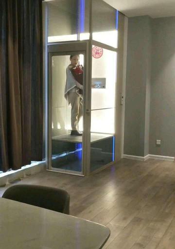 电梯多少钱（新型loft家用小电梯）
