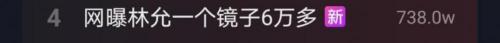 穿衣镜图片及价格（明星天价用品再引争议）