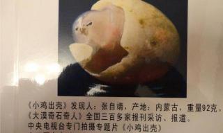 软九五之尊多少钱（15年山东男子捡到熊猫奇石）