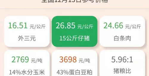 仔猪价格今日猪价（今日仔猪价格）