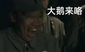 最貴的男士內褲多少錢（世界最貴大棉襖）