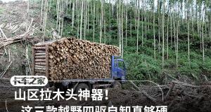 自卸车报价及图片大全（山区拉木头神器）