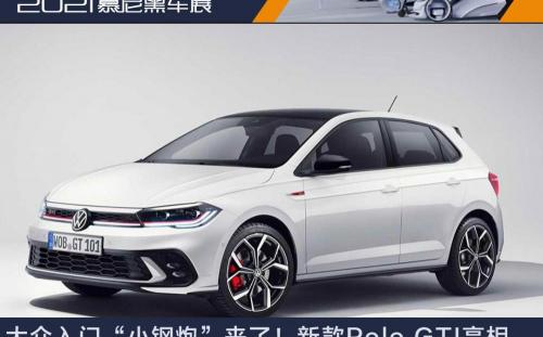 菠萝车报价及图片（新车）