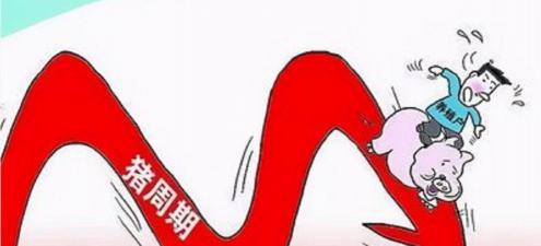 今日鸡蛋价格最新行情（养殖业预警）