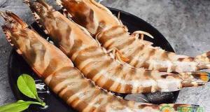海蝦多少錢一斤（這種海蝦深受我國沿海食客喜愛）