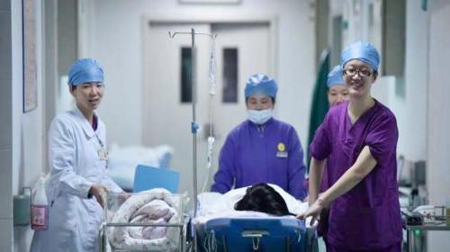 全身麻醉多少钱（全身麻醉就是人死过一次）